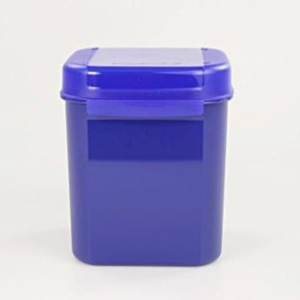 Tupperware Bellevue 1.2 L Apollo Royal Children's Storage Container